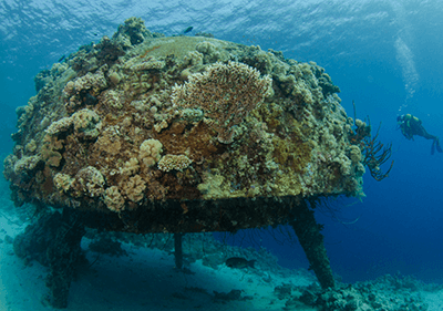 Cousteau bázisa a víz alatt